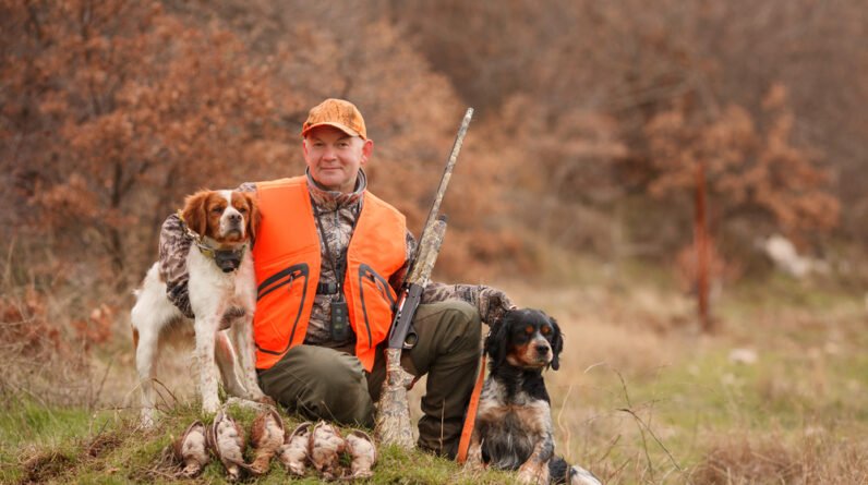 hunter with two hunting dogs, a gun and a woodcock after a hunt